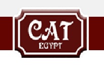 Cat Egypt